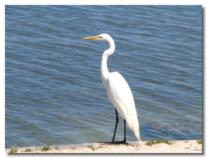 Florida 2006 (21)